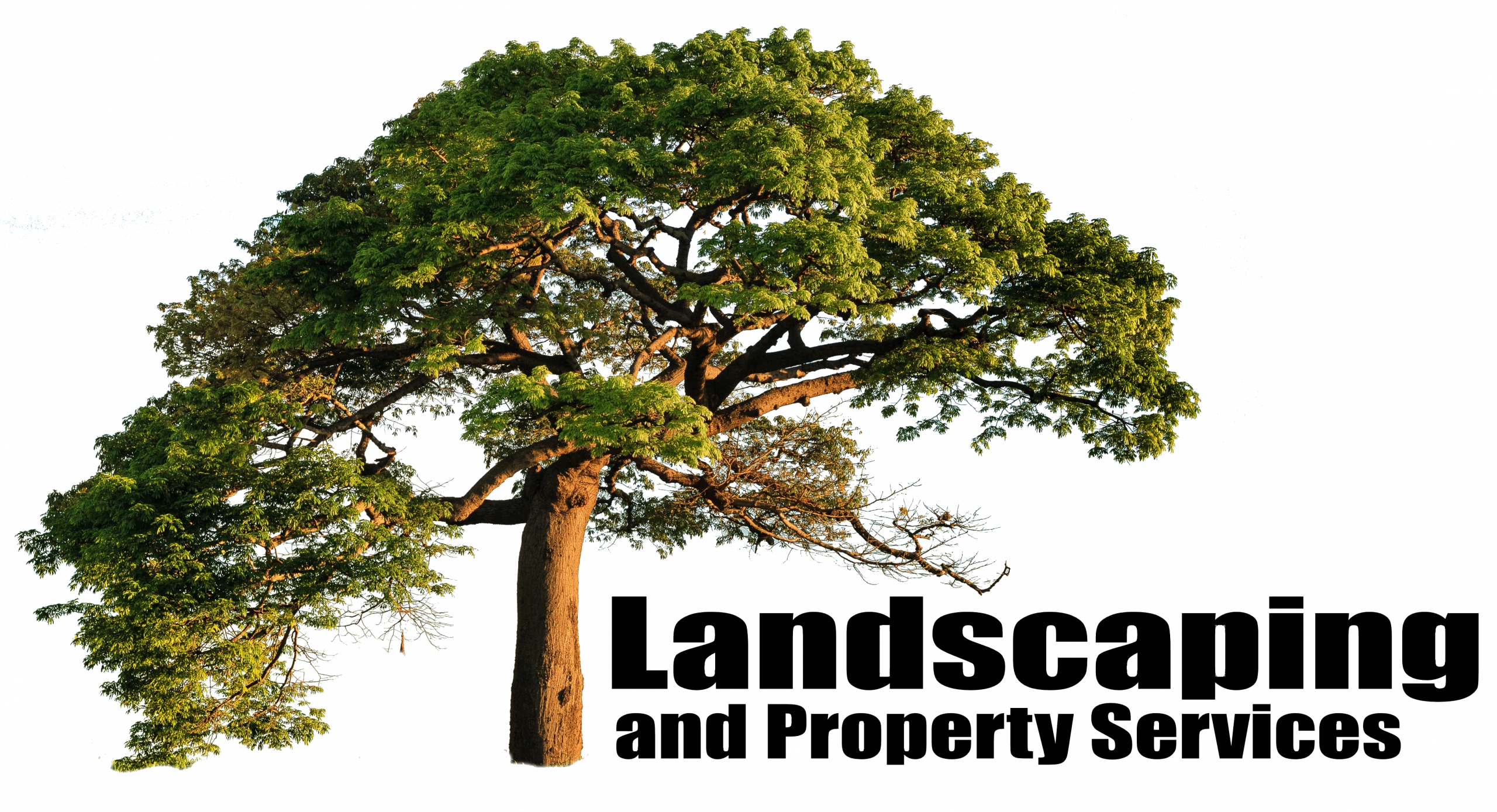 Landscaping and Property Services Logo (No background)